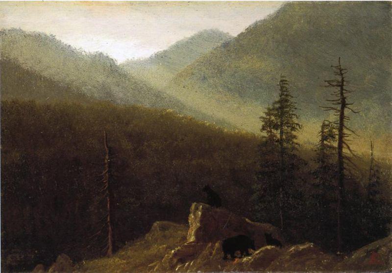 Albert Bierstadt Bears in the Wilderness oil painting image